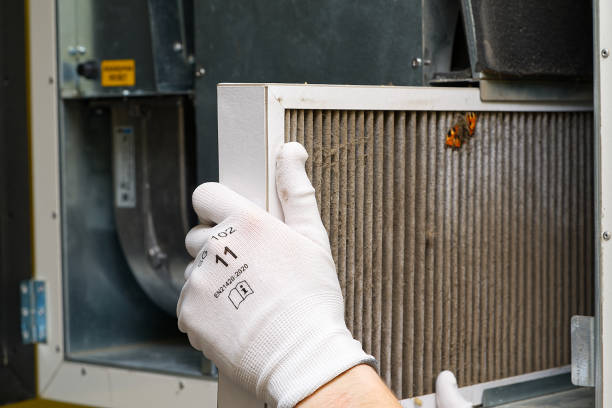 Best Air Duct Cleaning Near Me  in Green Forest, AR