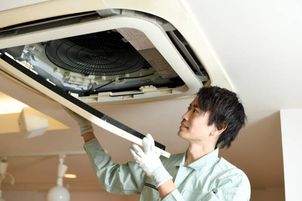 Best Affordable Air Duct Cleaning  in Green Forest, AR