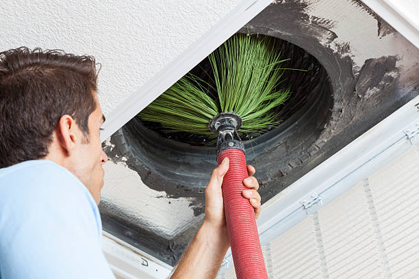 Best Affordable Air Duct Cleaning  in Green Forest, AR